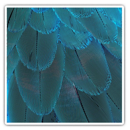 Square stickers cm - square,