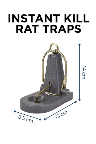 Black cat nano rat - rat, x1