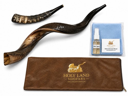 Shofar yemenite kudu - horn, set