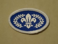 Chief Scout Silver Award Badge