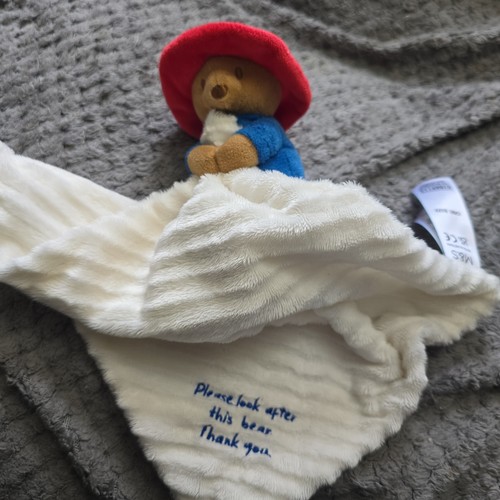 Paddington bear comforter - paddington,