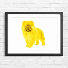 Fluffy Chow Chow Puppy