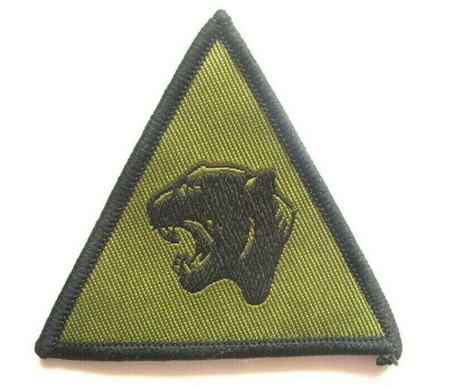 Trf brigade badge - 19, dz