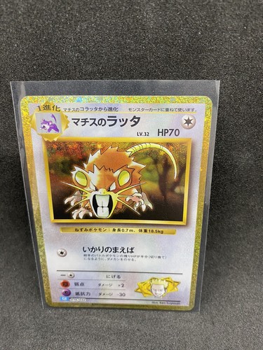 Surge raticate 016 - lt.,