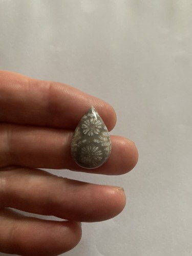 Fossil coral cabachon - fossil,