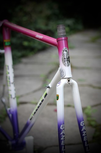 Gazelle champion special - gazelle, aa