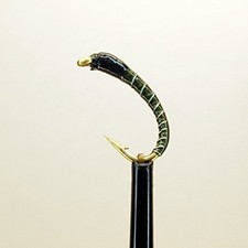 Black olive buzzer fly - x,