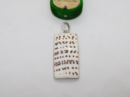 Large sterling silver - sterling, cowrie