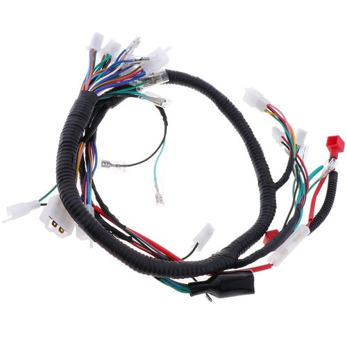 Electrics wiring harness - electrics,