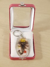 Vintage Real Scorpion Resin Keychain in Box