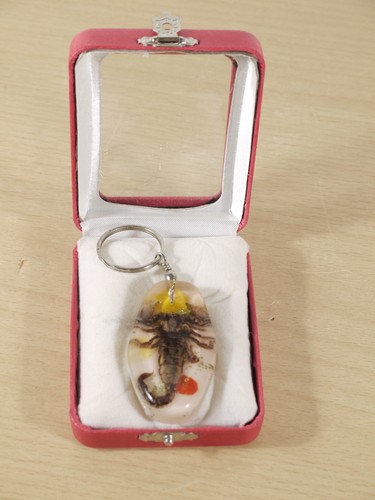 Vintage real scorpion resin - vintage,
