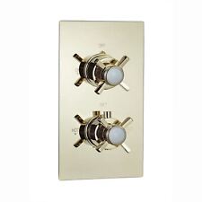 Twin Shower Valve Tap