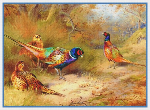 Naturalist thorburn birds ring - naturalist,
