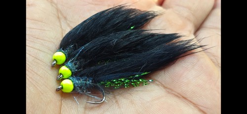 Black mamba lead - 3, body