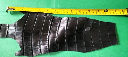 Leather crocodile offcut - crocodile, 🐊