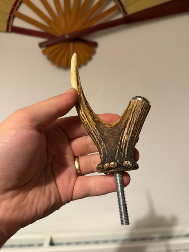 Deer antler walking thumbstick - deer,