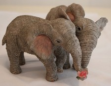 Tuskers 'Mark and Miranda'