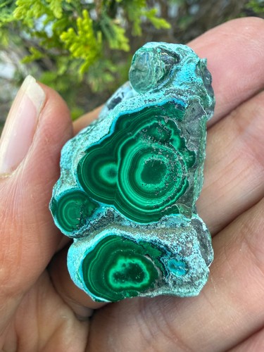 Malachite malacolla - malachite,