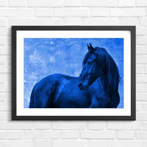Black friesian horse profile - black,