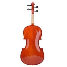 Viola Beginner With Bow Case
