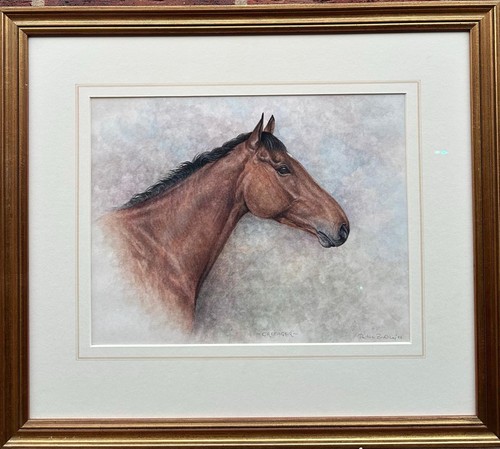 Patricia bradley the bay - bradley, :