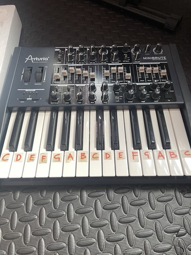 Arturia minibrute mk1 - minibrute,