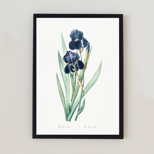 Vintage botanical flowers - vintage,