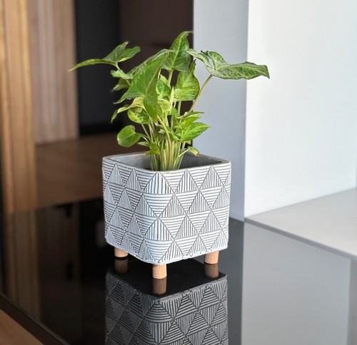 Flower pot legs home decor - flower,