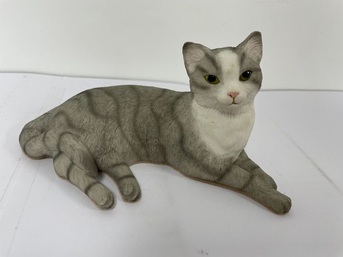 Leonardo grey white cat - leonardo,