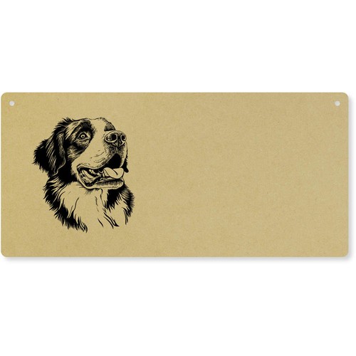 Bernard dog portrait - 'st,