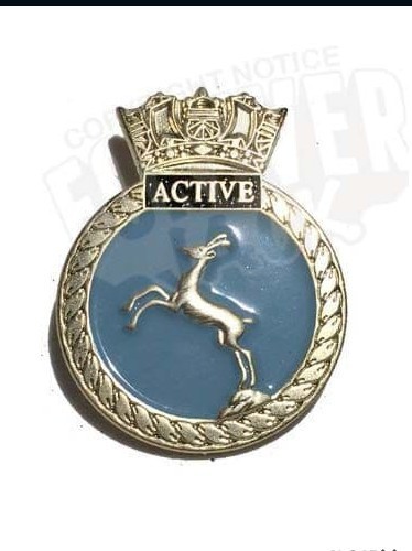 Hms active lapel pin - lapel,