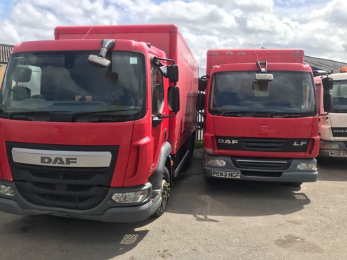 Daf and iveco - iveco, trucks