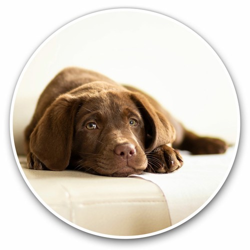 Vinyl stickers 30cm - x,