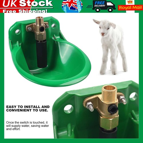 Automatic water bowl liquid - bowl,