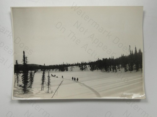 People dog sled snowy - dog,