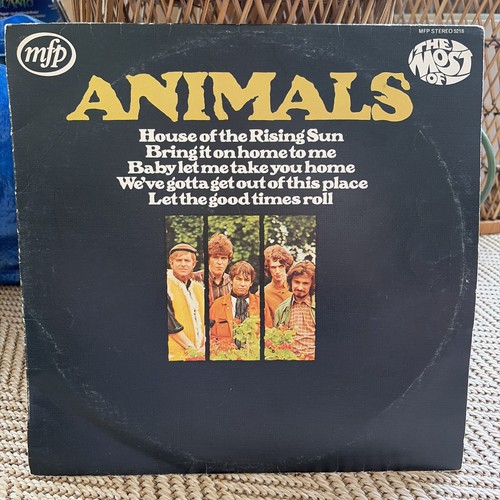 Animals the most of - ,