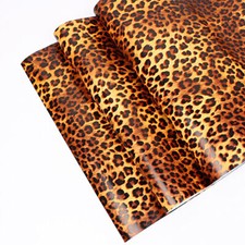 10m Modern Animal Leopard