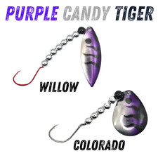 Purple candy tiger worm - tiger,