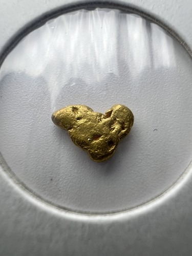 Gold nugget hand panned - gold,