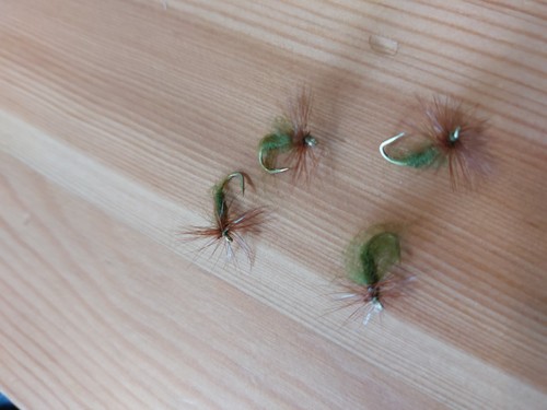 Bobs bits olive - 12s, 4