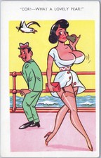 Vintage Postcard Cartoon