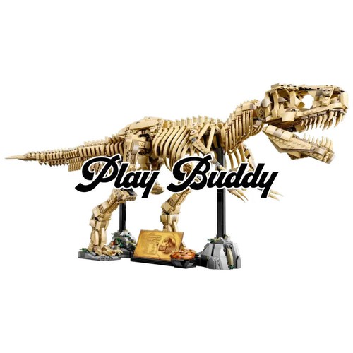 Dinosaur fossils - dinosaur,