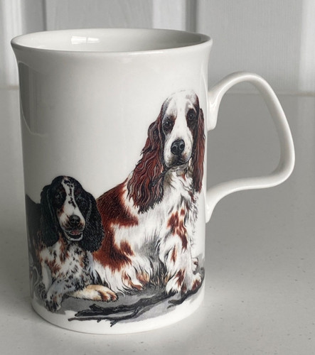 Roy kirkham dog - roy,