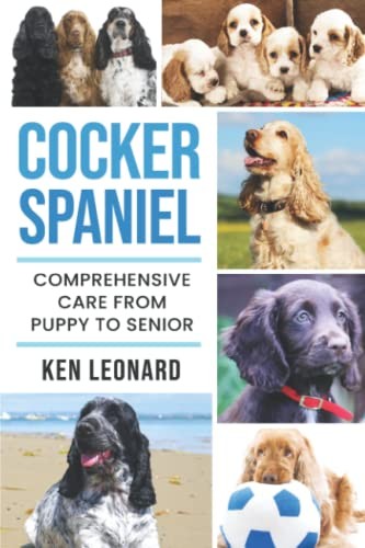 Cocker spaniel comprehensive - spaniel:,