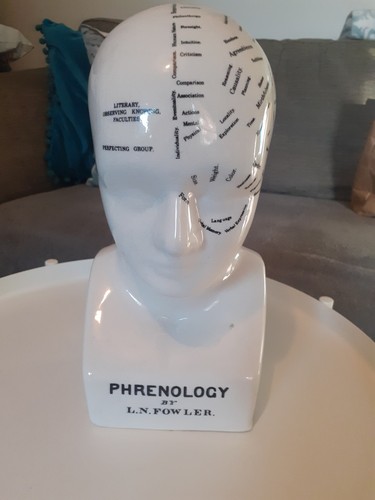 Phrenology head fowler - phrenology,