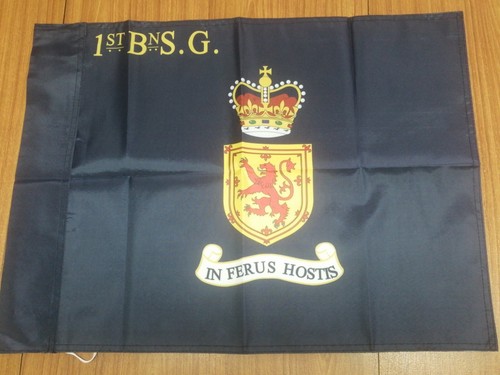 Scots guards 1st battalion