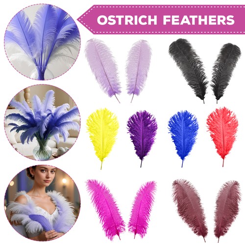 Ostrich feathers christmas - feathers,