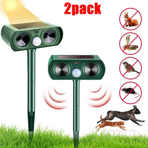 Outdoor solar animal - 2,