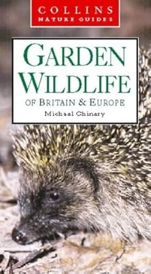 Garden wildlife britain - garden,