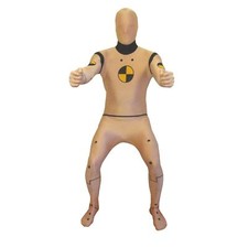 Adult Crash Test Dummy